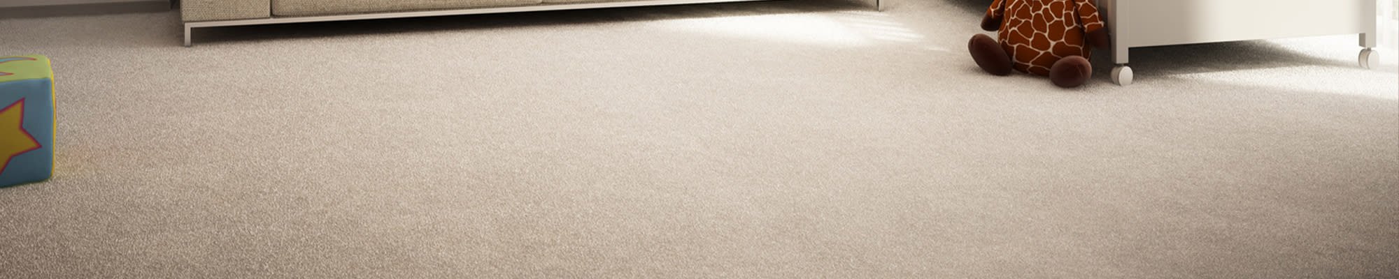 Carpet Flooring Banner
